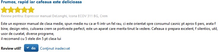 DeLonghi Icona ECOV 310BG